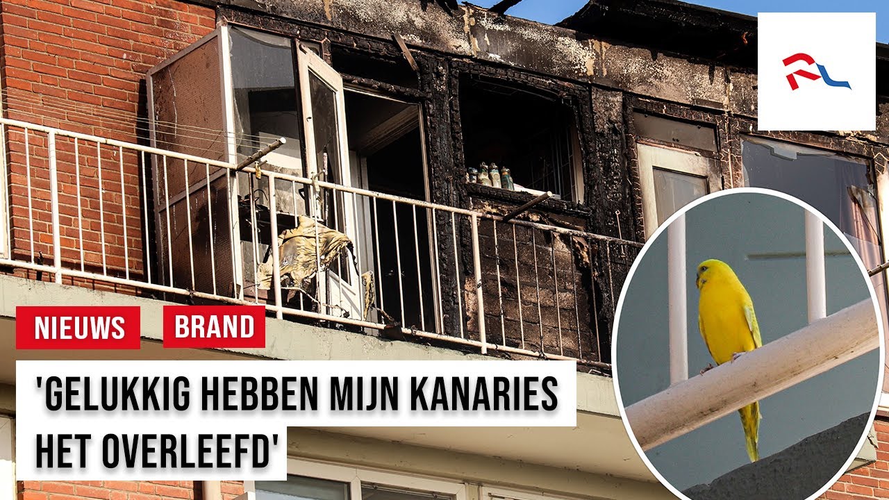 Bewoners geschrokken én opgelucht na flatbrand Dordrecht
