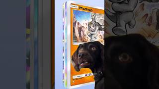 Opening 10 Pokemon Tcg Pocket Packs - Shining Revelry 😱