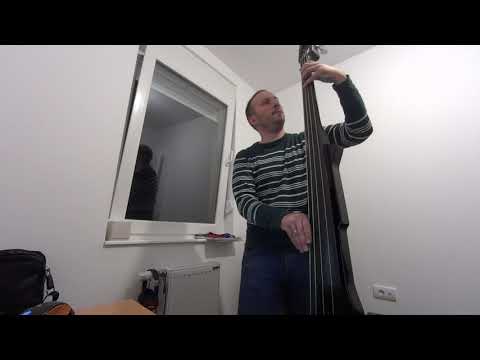Michael Buble - Let It Snow (Upright bass cover)