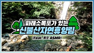 [#온택트숲여행] 파래소폭포가 있는 '신불산자연휴양림'