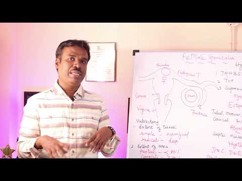 Female Genital System | Vulva | Labia Majus/minus | Clitoris | Hymen | Hymenotomy | Vulvectomy | STD