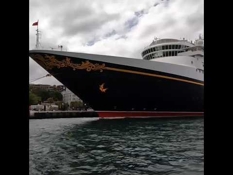 Thumbnail for Disney Wonder visiting Sydney  January 3  2024.