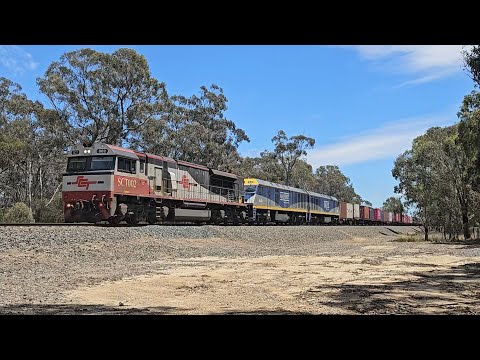 7922V SCT up "Dooen Express" (SCT, EL, EL), Dooen to Melbourne, 1300, 10/12/24, Stawell West VIC