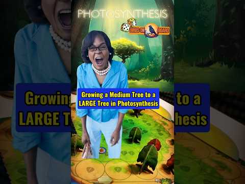 Promotion in Photosynthesis ☀️