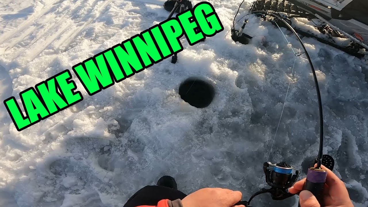 Exploring New Waters for Walleye on Lake Winnipeg