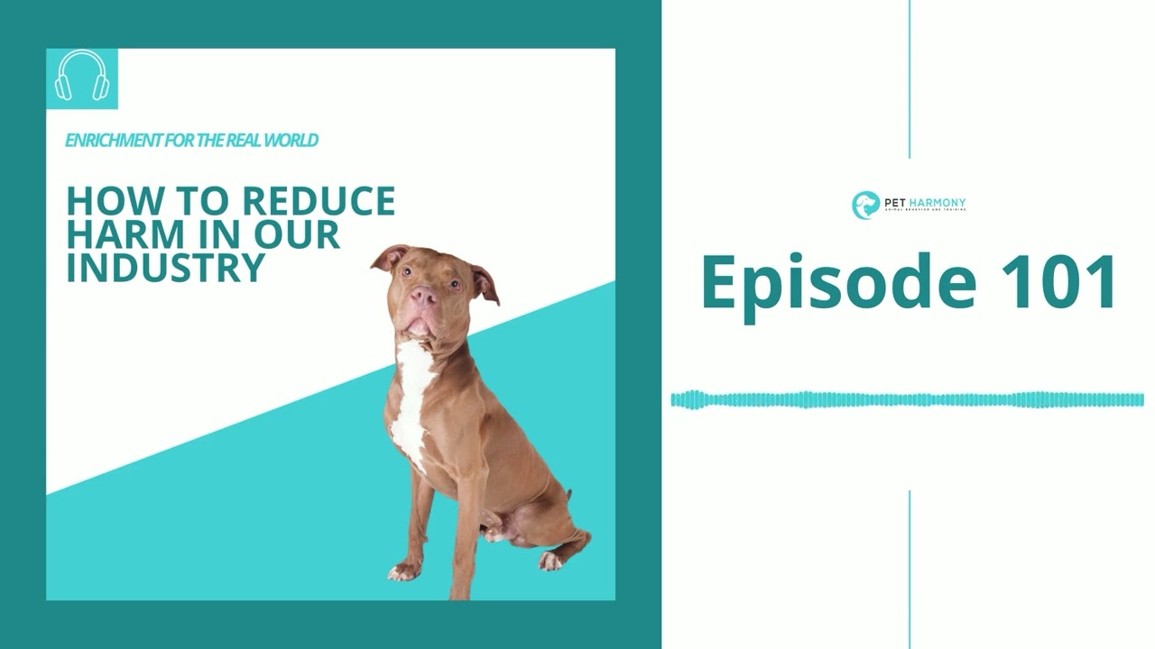 #101 - How to Reduce Harm in Our Industry