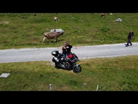 Ambassador FVG Veronica Duriavig - L'altopiano del Montasio