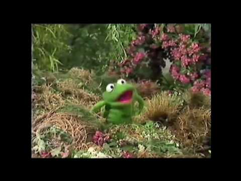 Muppet Songs: Robin the Frog - Frog Kissin'