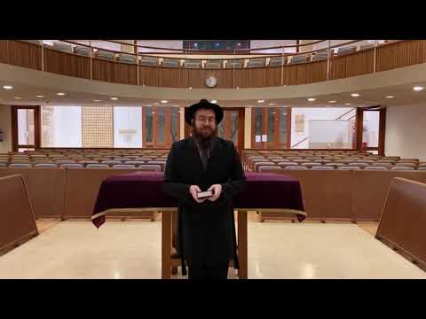 Mizmor Ledavid Hashem Roi