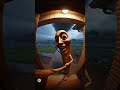 Tungtungtungsahur Ai Sora Brainrot Tornado