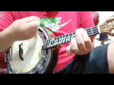 Rebeldia - Leci Brandão