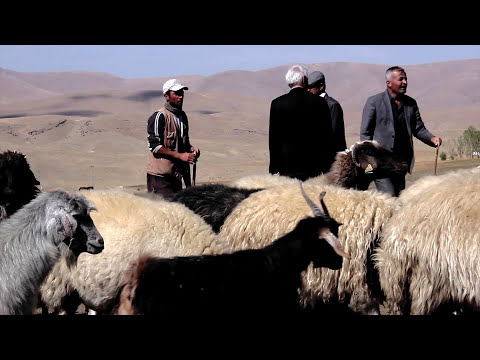 Siyabend û Xecê  - Mehdi Mutlu