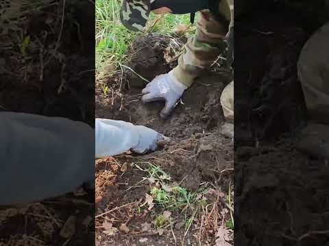 We Found LIVE GRENADES in an Abandoned Military Base 😱💣