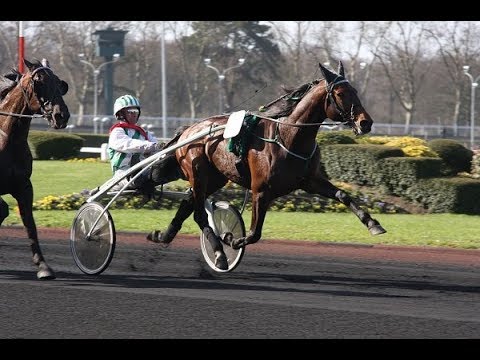 Quinté + PRIX DE SEDAN ENGHIEN  Attelé. -28/02/2018