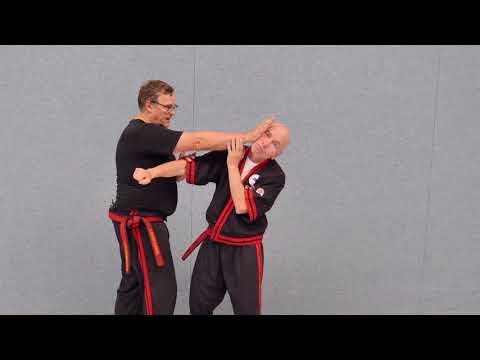 The modern principle or brush-grab-strike in the Modern Arnis of the DAV