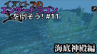 イヌとトラのエンダードラゴンを倒そう！Part.11 ～海底神殿編～