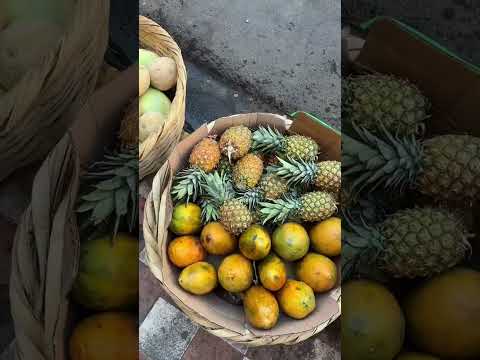 your guide to granada, nicaragua 🌈