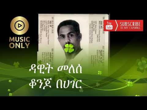 ዳዊት መለሰ  ቆንጆ በሀገር | Dawit melese konjo be hager