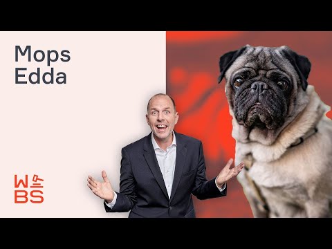 Mops Edda: Gepfändet, verkauft & umbenannt! | Anwalt Christian Solmecke