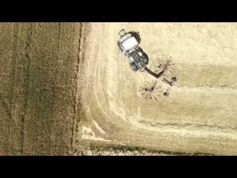 Social Media MBS World