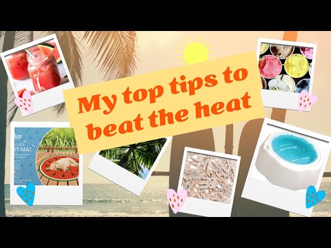 HOW TO BEAT THIS HEAT ~ MY TOP TIPS! JULY 2022