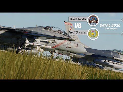 DCS SATAL 2020:ECV56 Condor vs No.15 Battle Axes Supercut