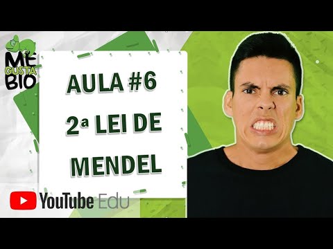 Mendel's Second Law (Mendel's 2nd Law - I Like Bio)