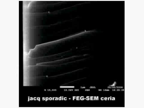 Jacq Sporadic - Saveworldkillbono - FEG-SEM ceria. Extract