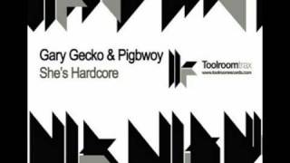 Gary Gecko & Pigbwoy - She's Hardcore (King Roc remix)