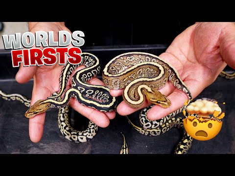 We Hit Two Worlds First! Cant Believe It!