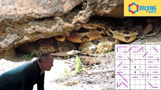 What Sorcery is This Now?