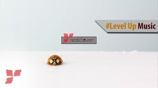 Damzky - Heal (ft Amanda Alexander) || #Level Up Music