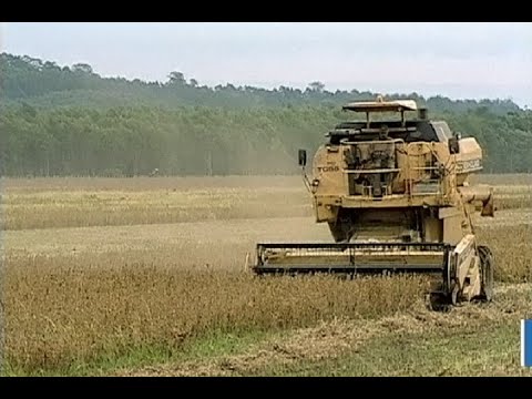 O escoamento da produção agropecuária de Mato Grosso pelo Norte do país foi tema de audiência pública