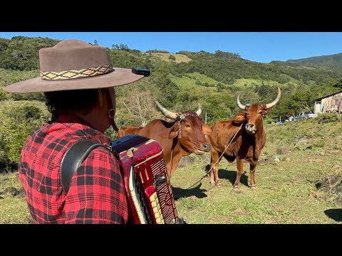 ELE CANTA E OS BOIS RESPONDE- OURI BERNARDES CANCIONEIRO DO PAGO DE ITATI