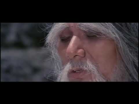 afbeelding Master of the Flying Guillotine