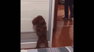 MuteMath - Walking Paranoia slowed and reverb