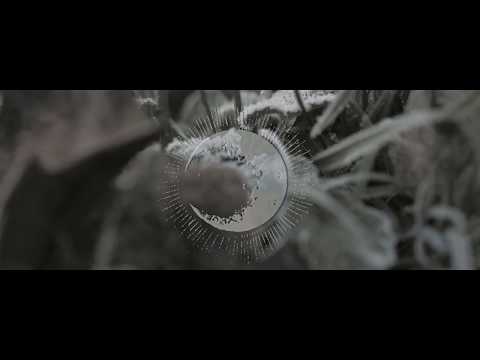 Nesseria - music video Cette érosion de nous-mêmes
