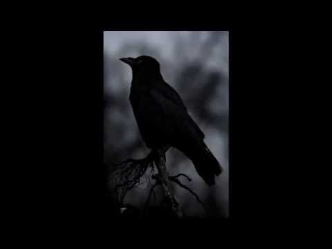 Sigur Rós - Hrafnagaldur Óðins chapter 3