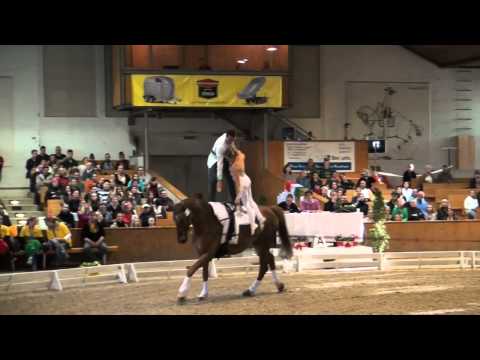 CVI Bern 2015 - PDD GER (CVI3*)