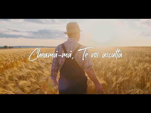 Ogoarele sunt gata de recoltă - Ligia Bodea