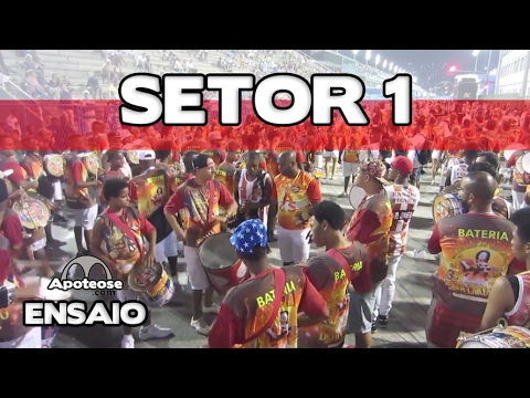 Alegria da ZS 2017 - Setor 1 - Ensaio técnico