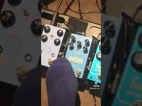 1 Riff, 4 Harmonic Tremolo Pedals #shorts