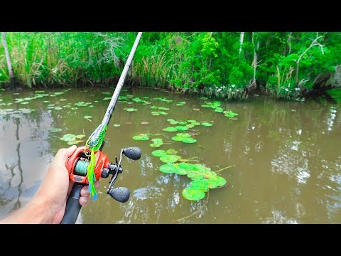 FROG Fishing for GIANT Bass in HIDDEN CREEKS Video