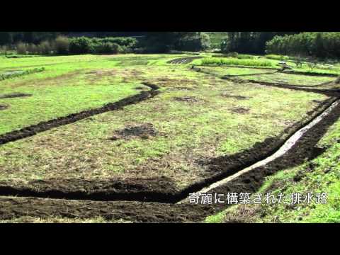 動画サムネイル