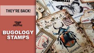 The Bugology Stamps Are Back! | Craft With Me