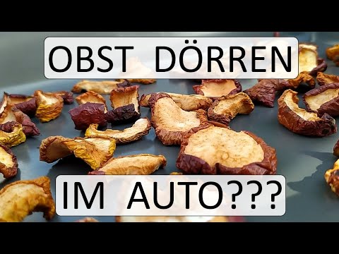 Obst dörren im Auto (einfachste Dörrmethode)