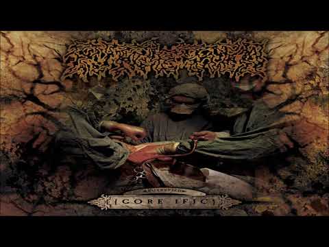 download lagu mp3 mp4 Putrefied Gore Ific 2008 Netherlands, download mp3 Putrefied Gore Ific 2008 Netherlands free downloadn, video klip Putrefied Gore Ific 2008 Netherlands