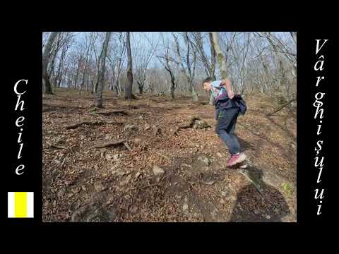 Cheile Varghisului - Refugiul Poiana Pietrii