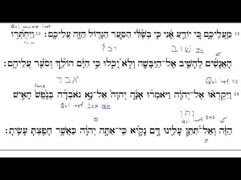 Jonah 1:13 to 2:1 MT (1:17 English)
