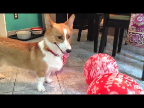 Happy Birthday Neville!